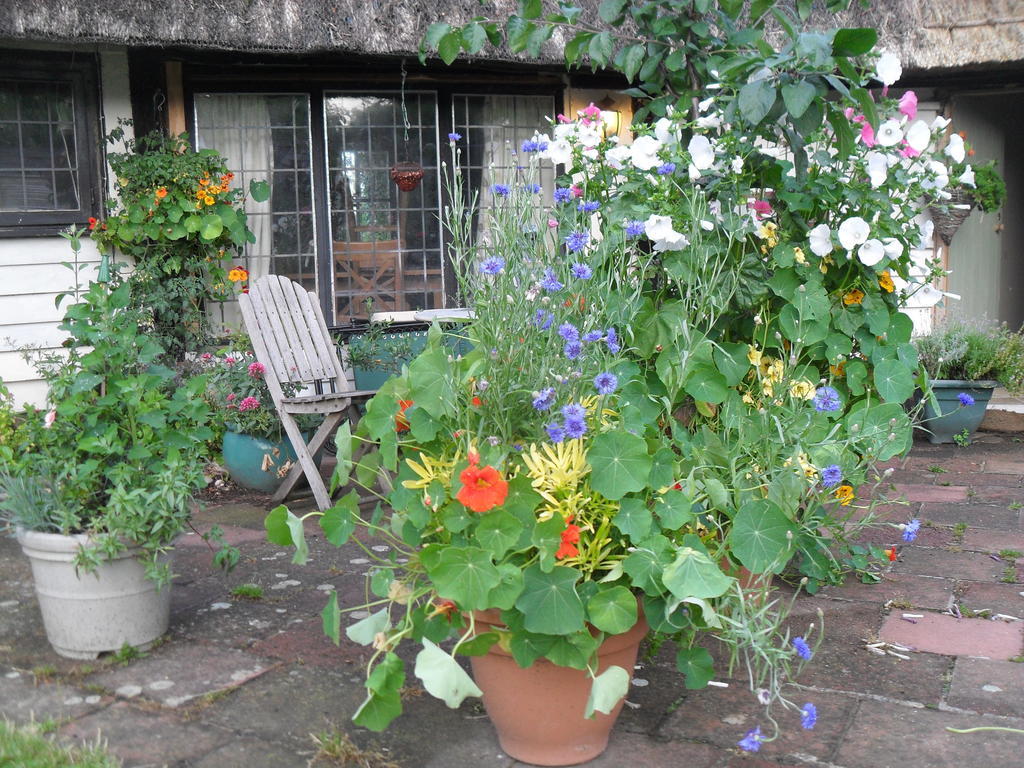 Church Hall Farm Bed And Breakfast Broxted Kültér fotó